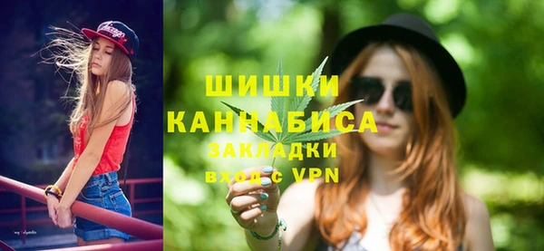 индика Белокуриха