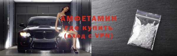 индика Белокуриха