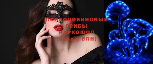 индика Белокуриха