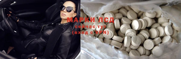 индика Белокуриха