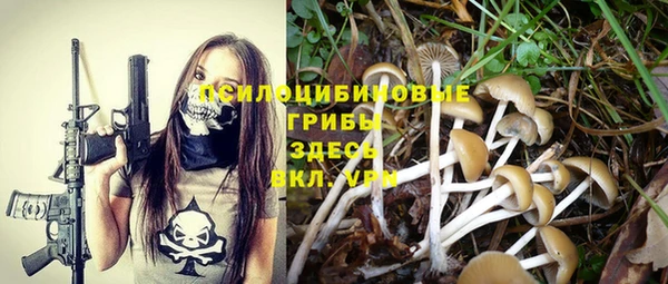 индика Белокуриха