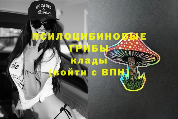 ешки Беломорск