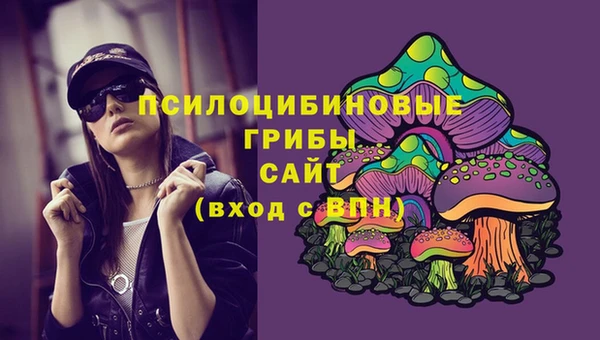 ешки Беломорск