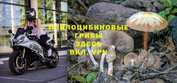 кокс Белоозёрский