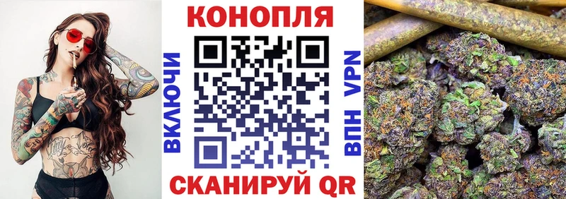Конопля сатива  это клад  Пионерский 